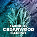 AXE XXXL Apollo Sage & Cedarwood Scent Long Lasting Men's Body Wash 1LT - Pack of 2