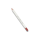 Lip Liner Perfect Pout Matte Retractable Slim Lip Pencil Face Makeup Longwear Rich Lip Colors Smudge Proof Formula with Long Lasting - Waterproof Lip Liner - Mood