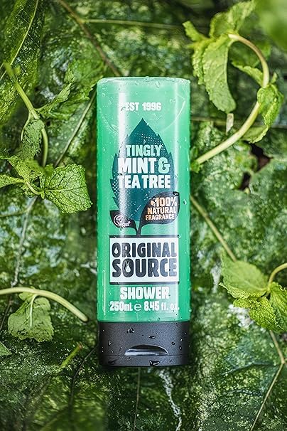 Original Source Tea Tree & Mint Shower Gel 250ml - Pack of 6