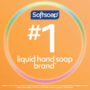 Softsoap Body Wash  Pomegranate/Mango Spritz & Coconut Butter Scent (Pack 4)